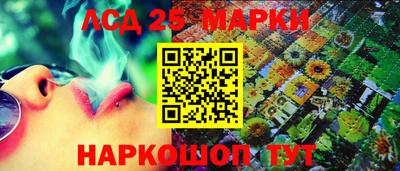 индика Обь