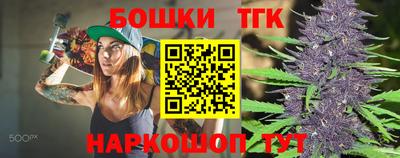 индика Обь