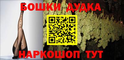 индика Обь