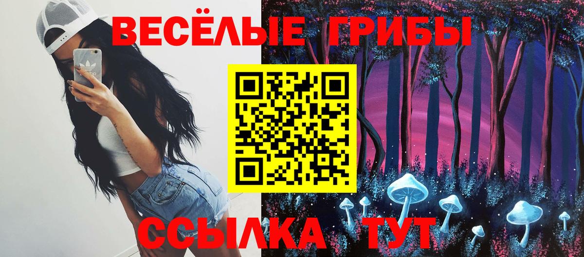 Псилоцибиновые грибы прущие грибы  Галлюциногенные грибы GOLDEN TEACHER  Алапаевск  Вход с VPN 